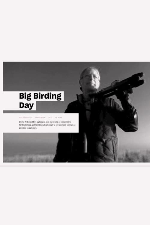 Big Birding Day 2010