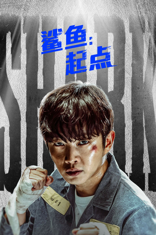 鲨鱼：起点电影海报