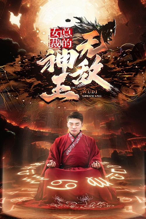 女总裁的无敌神王电影海报