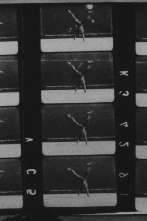 Muybridge Film 1975