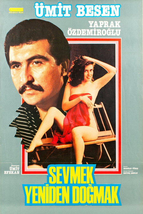 Sevmek Yeniden Doğmak电影海报
