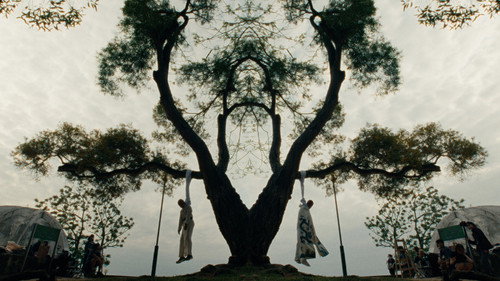 Backdrop