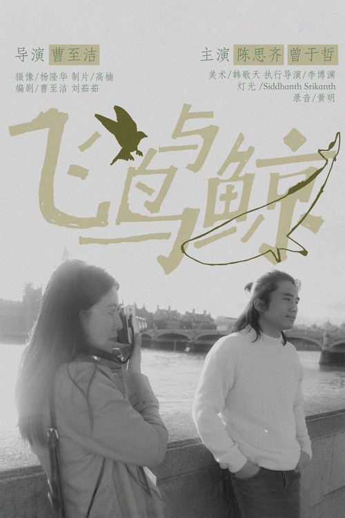 飞鸟与鲸电影海报
