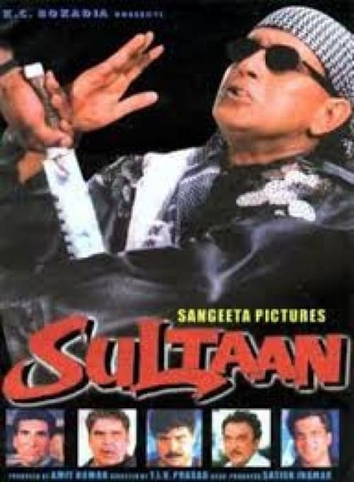 Regarder Sultaan (2000) le film en streaming complet en ligne