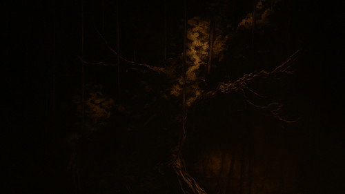 Backdrop