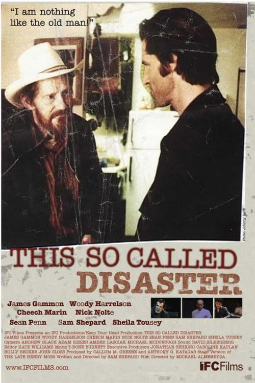 This So-Called Disaster poster 2