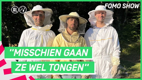 Stay overnight in a restful beehive
