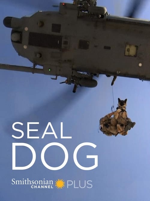 SEAL+Dog