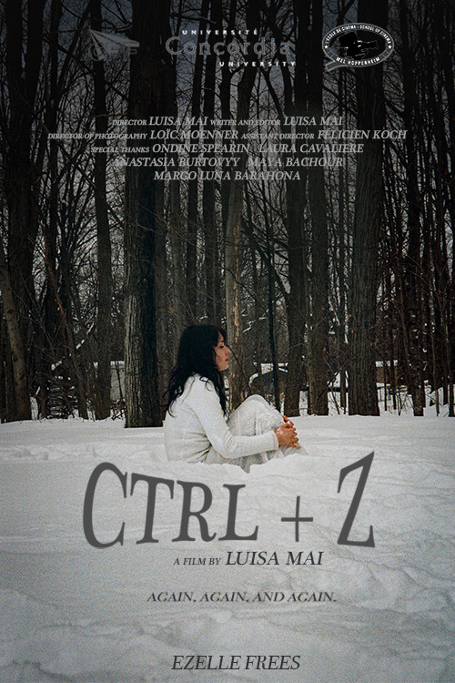 CTRL+Z电影海报