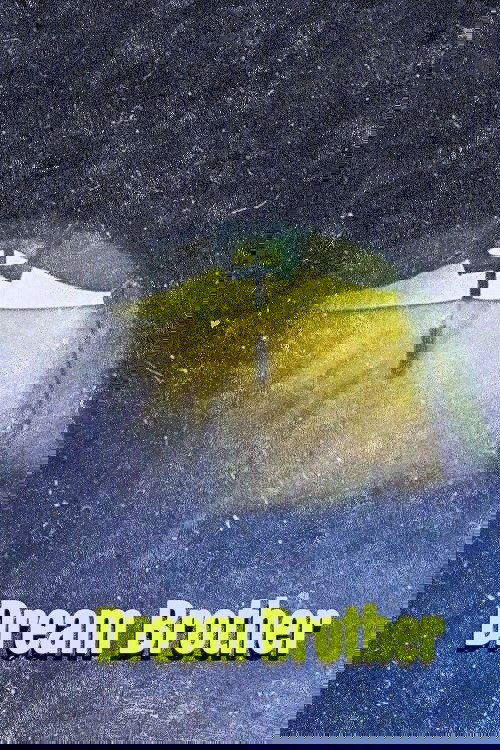 Frère de rêve (Dream Brother)