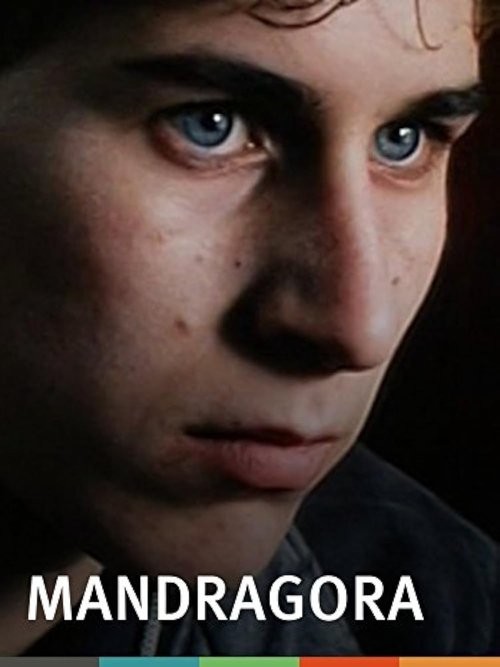 Mandragora