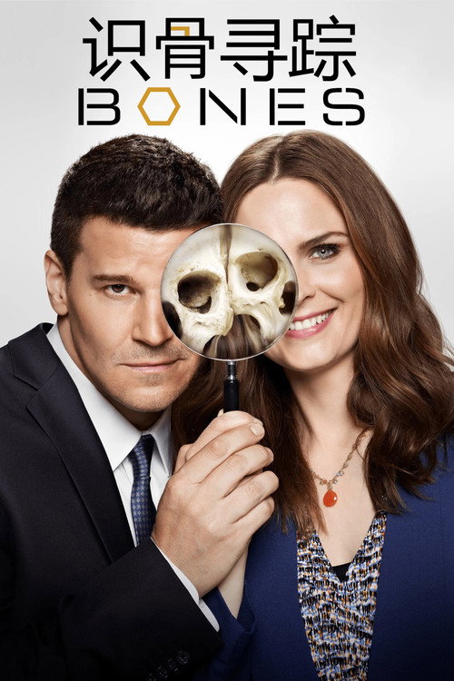 识骨寻踪电影海报