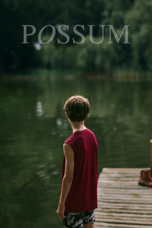 Possum poster 2