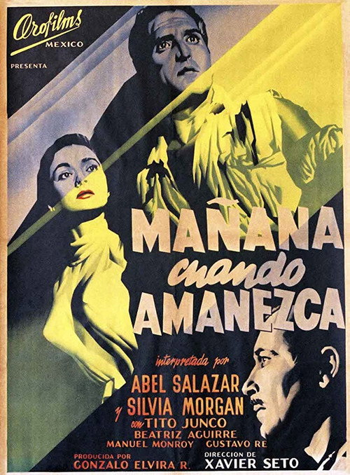 Mañana cuando amanezca poster 2
