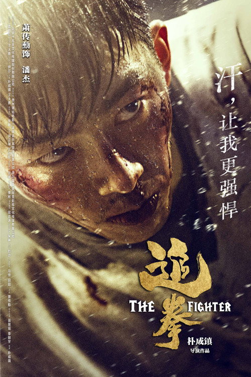 The Fighter poster 6