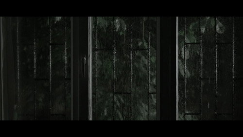 Backdrop