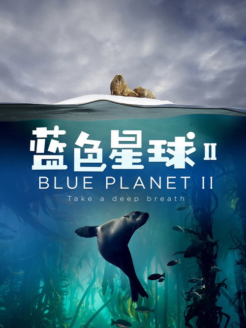 蓝色星球 2电影海报