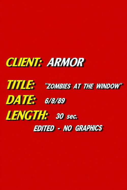 Zombies at the Window's poster