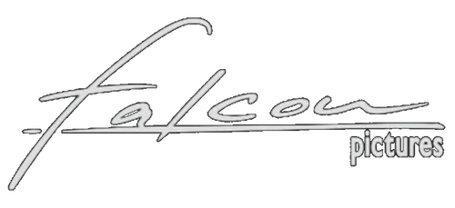 Falcon Pictures Logo