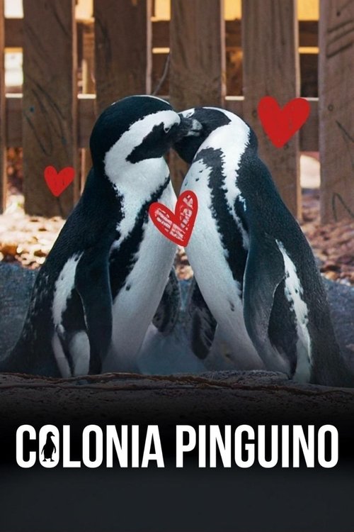 Poster of Colonia Pingüino