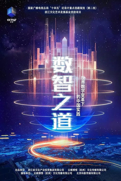 数智之道电影海报
