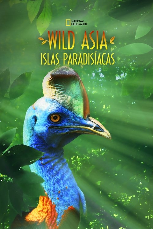 Poster of Islas Paradisíacas