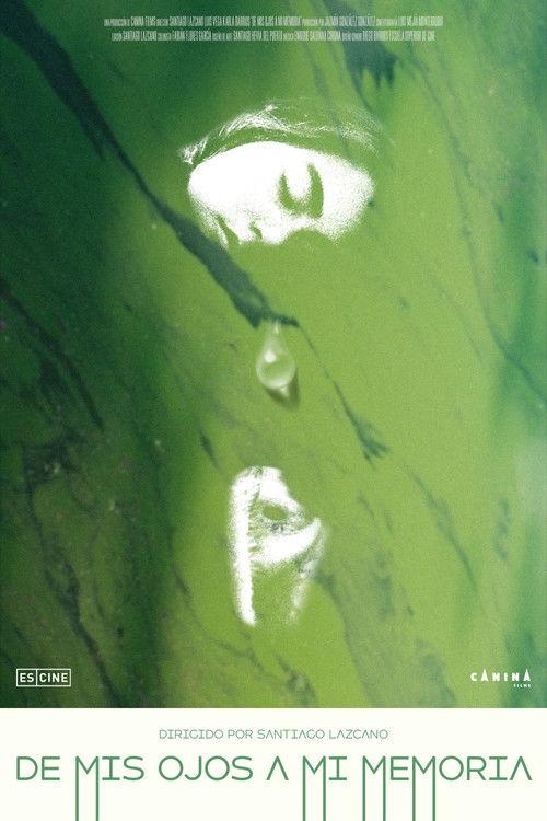 De mis ojos a mi memoria