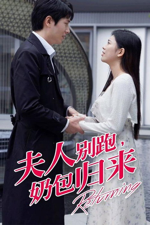 夫人别跑，奶包归来电影海报