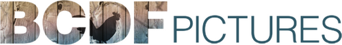 BCDF Pictures Logo