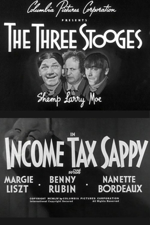 Income Tax Sappy poster 2