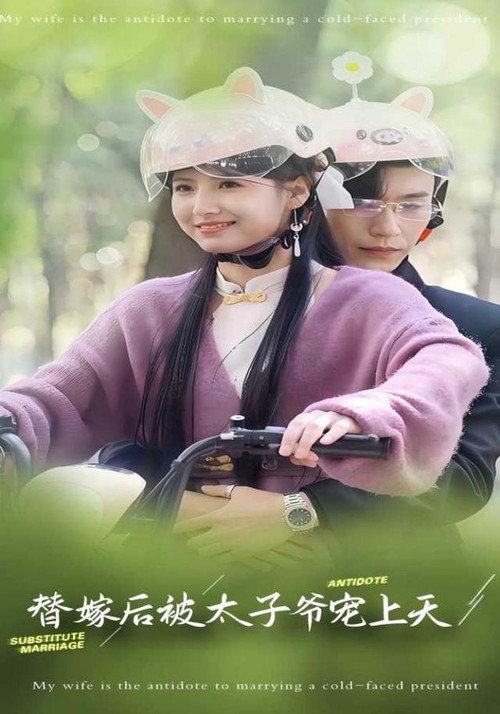 替嫁后被太子爷宠上天电影海报