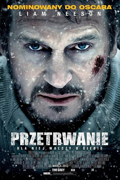 Przetrwanie (2011) Przetrwanie (2011)