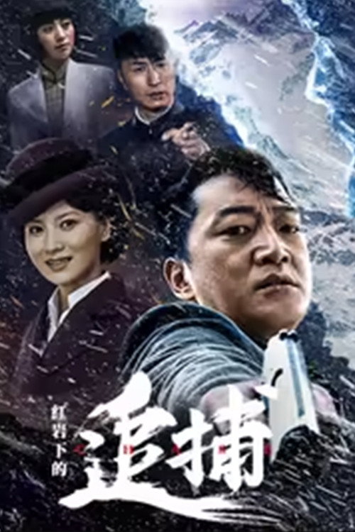 红岩下的追捕电影海报