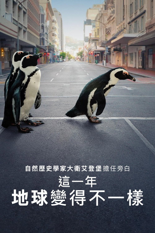 The Year Earth Changed电影海报