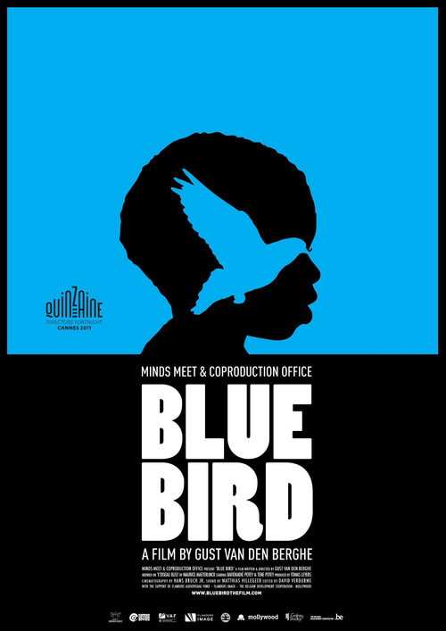 青鸟电影海报
