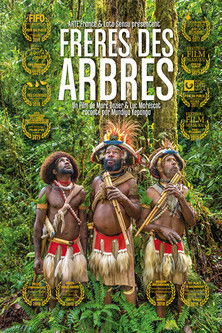Frères des arbres, l'appel d'un chef papou