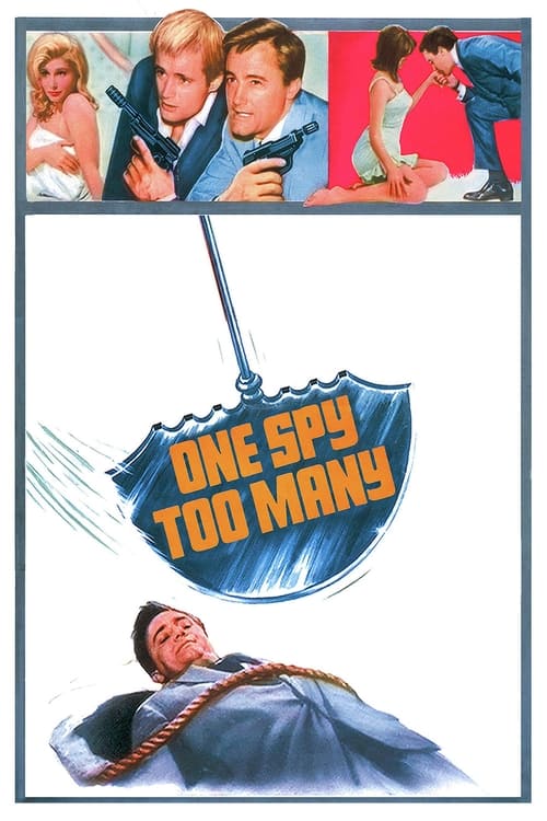 One+Spy+Too+Many