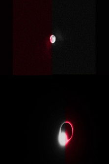 Black Vulture (2021) PHIM ĐẦY ĐỦ [VIETSUB]