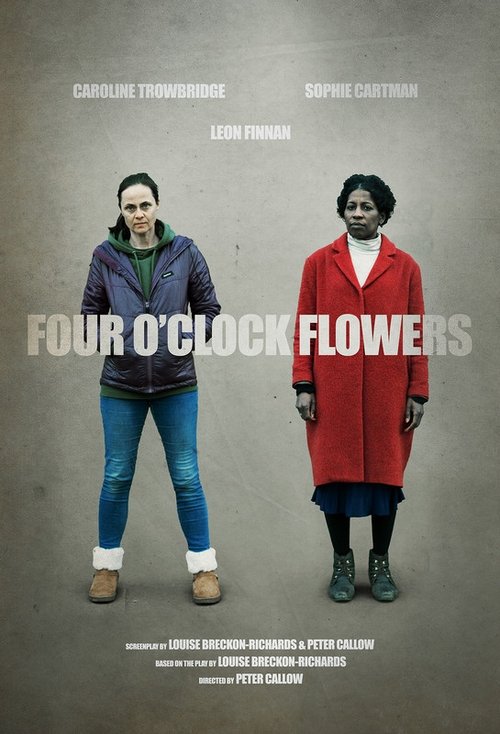 Four O'Clock Flowers