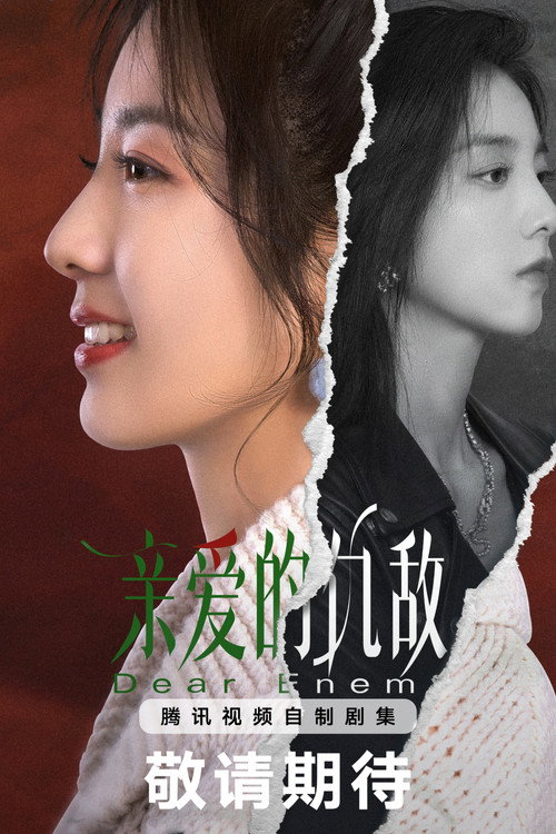 亲爱的仇敌电影海报