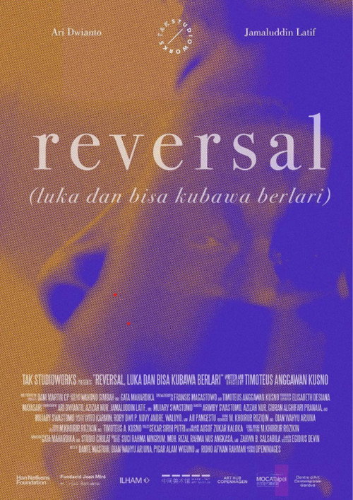 Reversal poster 2
