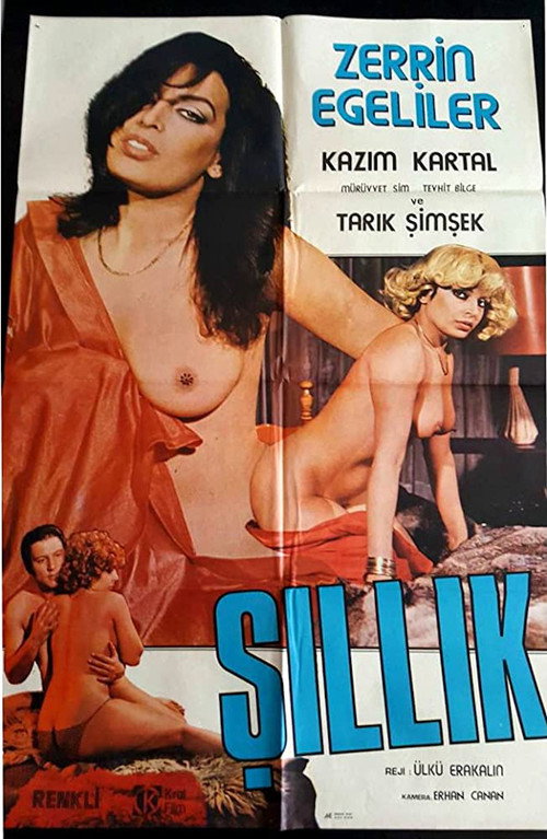 Şıllık poster 2