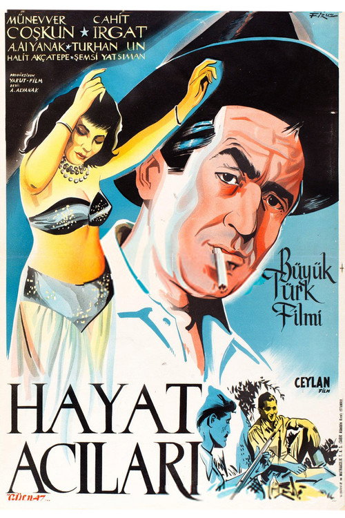 Hayat Acıları poster 2