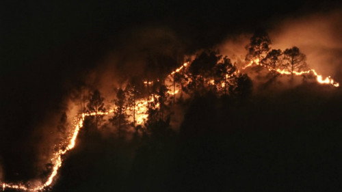 image11