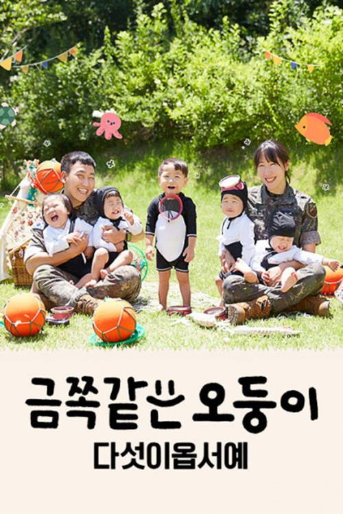 금쪽같은 오둥이 다섯이옵서예电影海报