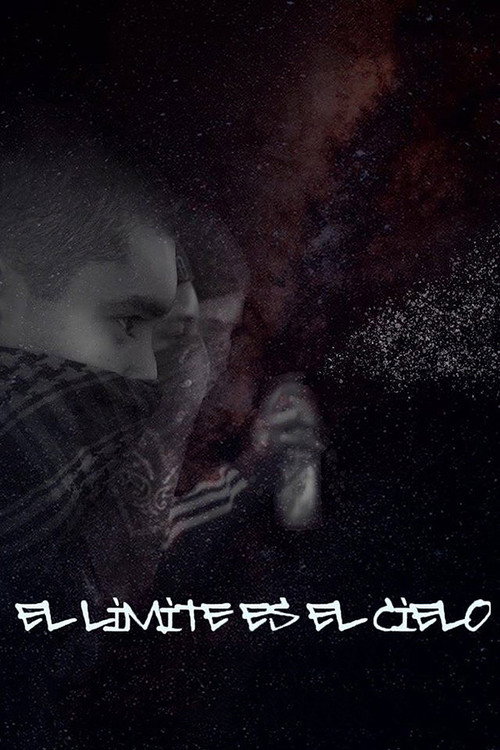 El límite es el cielo poster 2