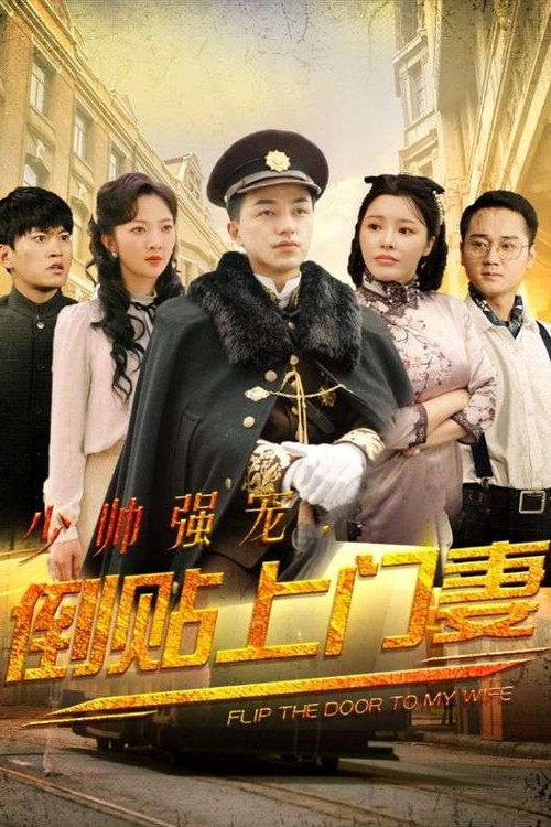 少帅强宠，倒贴上门妻电影海报