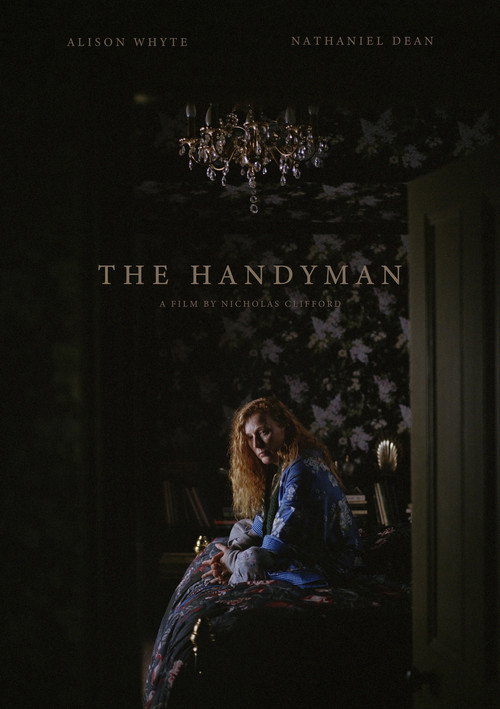 The Handyman poster 2