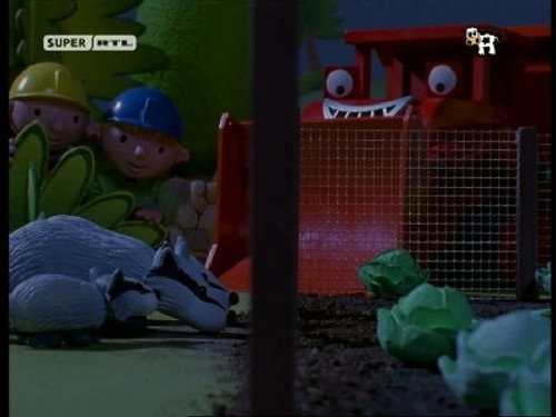 Bob and the Badgers