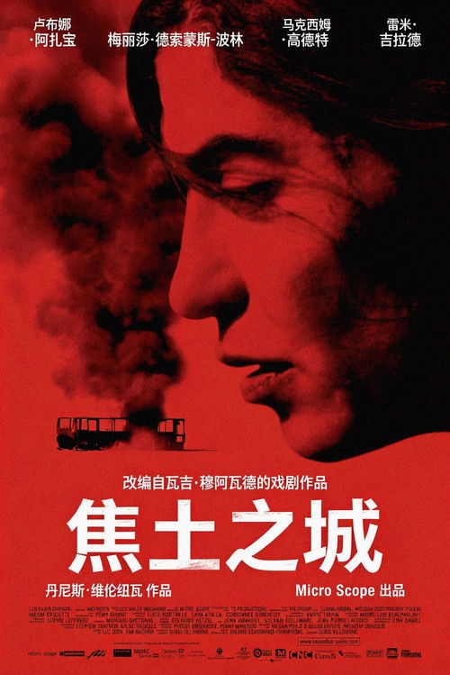 焦土之城电影海报